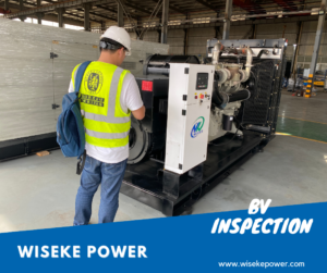 BV Inspector Testing 600kVA Perkins Diesel Generator at Wiseke Factory