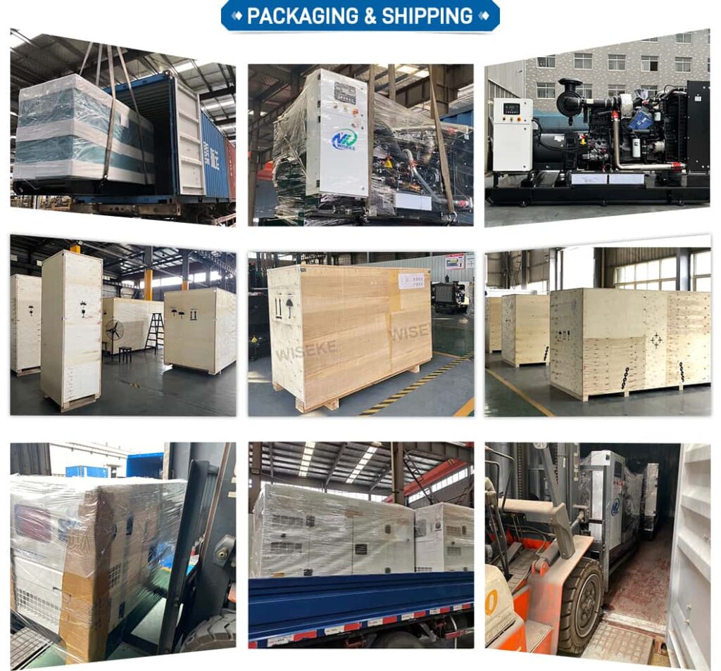 Packing and shipping-Wiseke